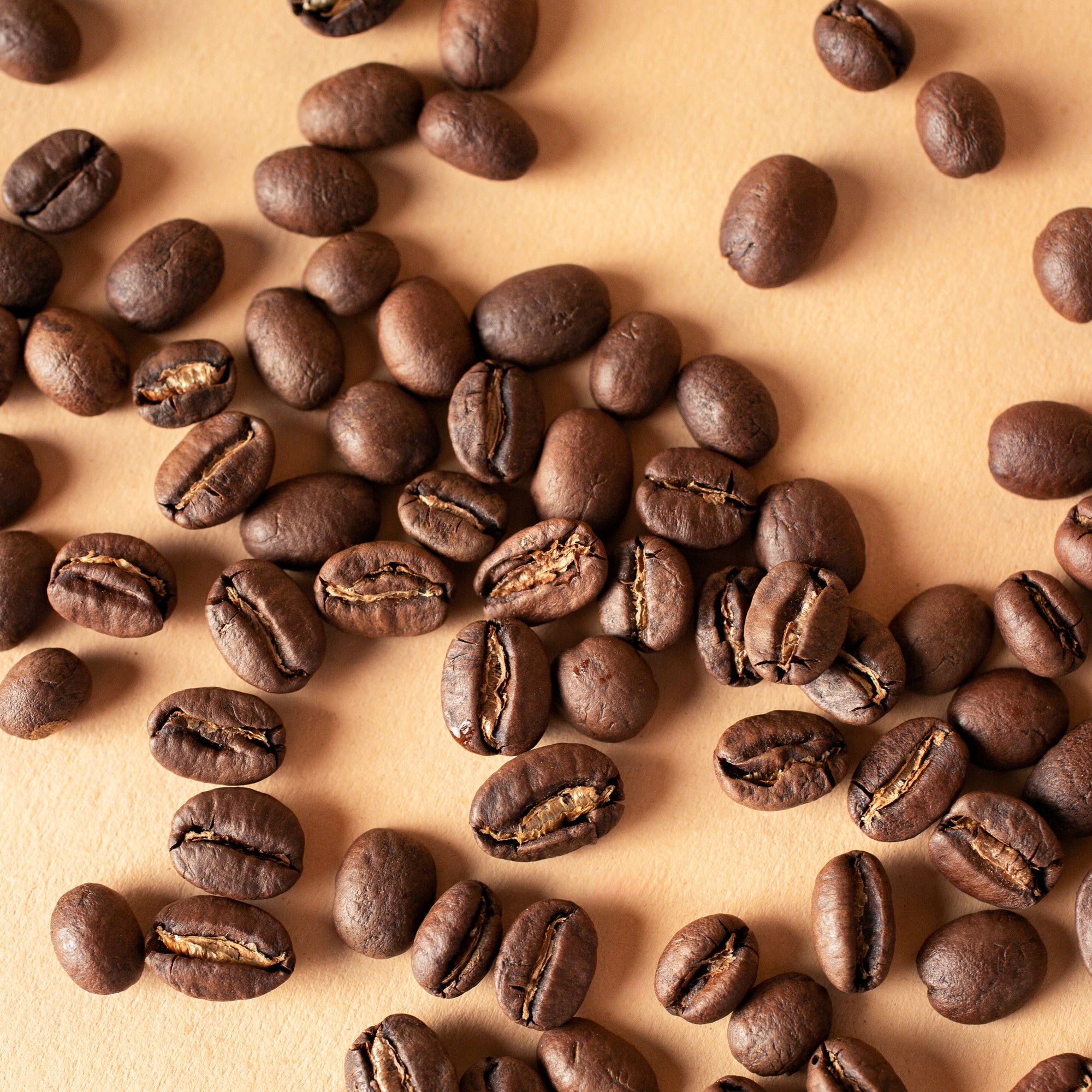 Mexico Chiapas Coffee