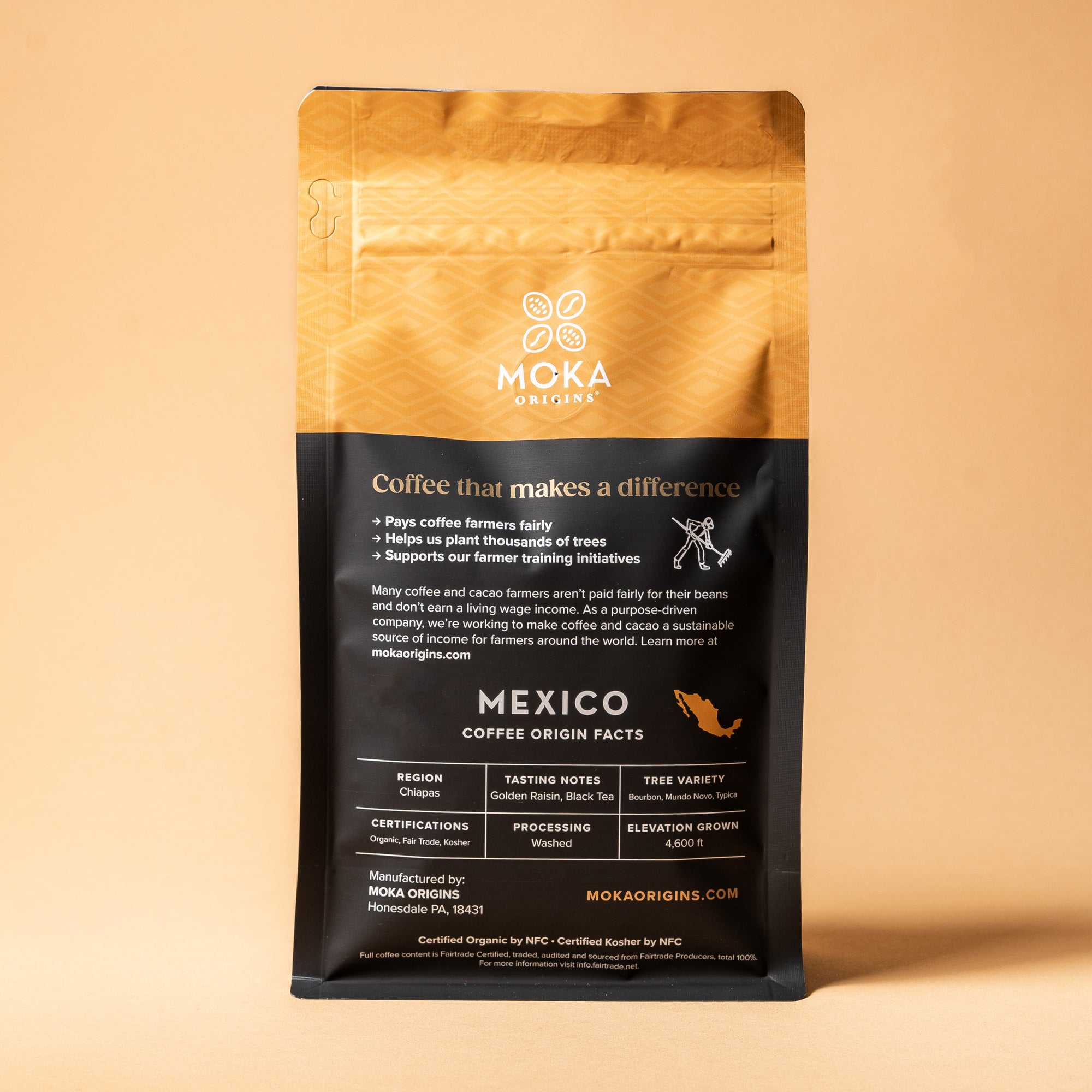 Mexico Chiapas Coffee