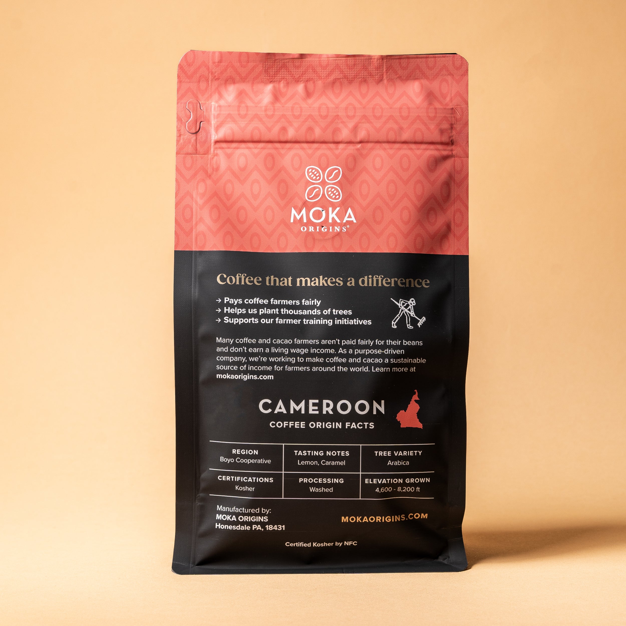 その他 MOKA Cameroon Mt Oku Coffee – Moka Origins