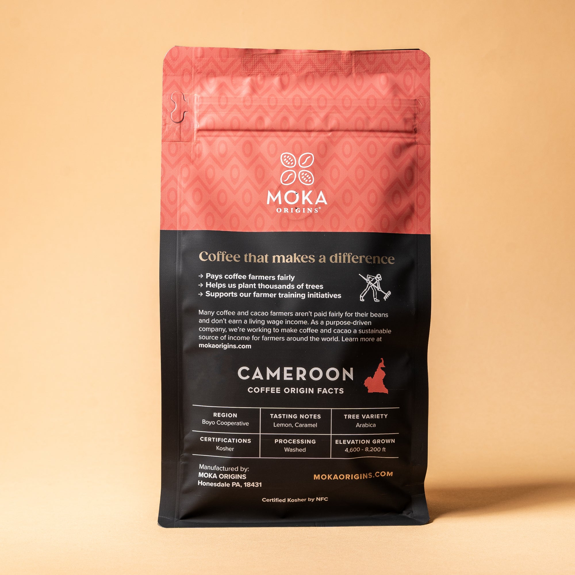Cameroon Mt Oku Coffee