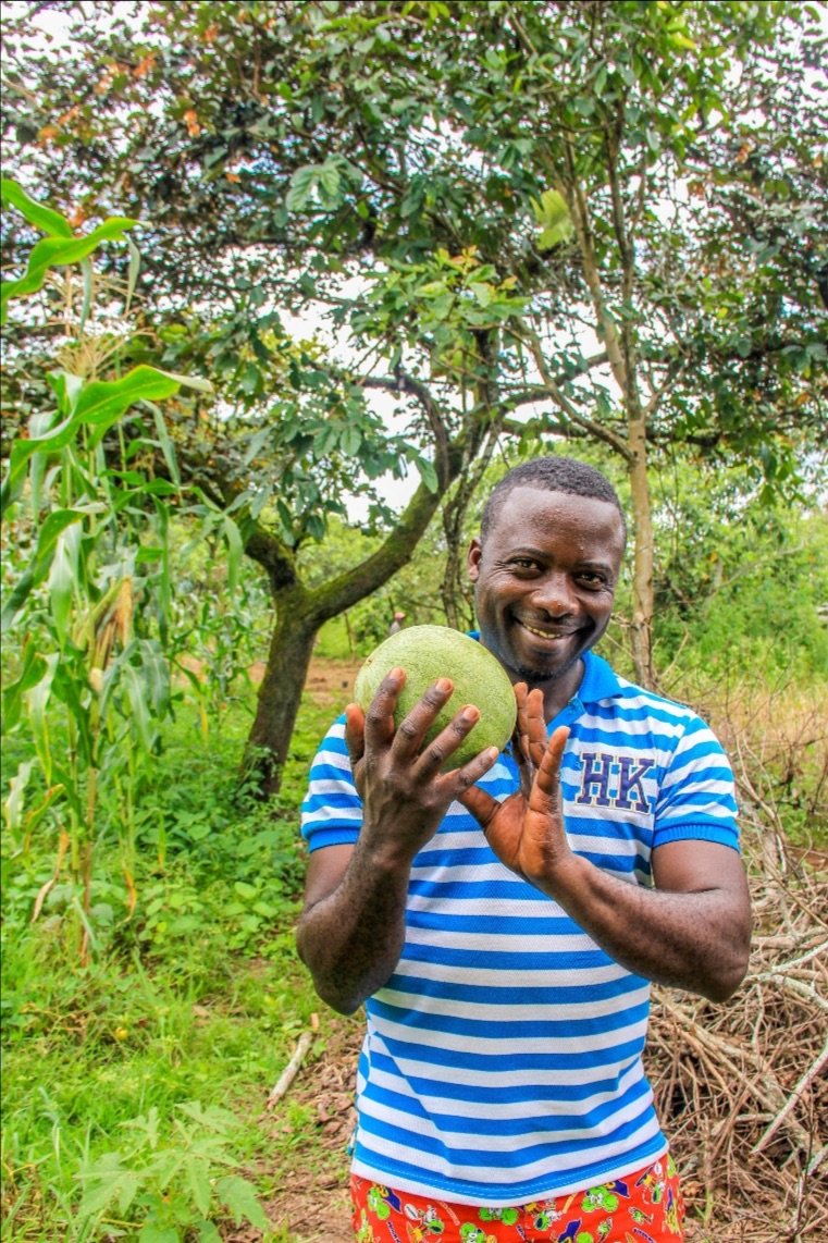Cameroon Cacao: A Moka Farm Update