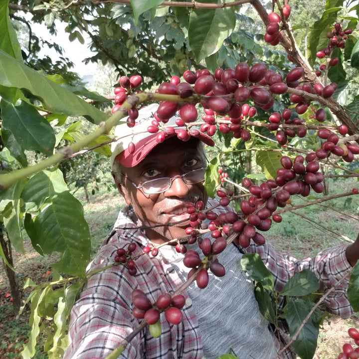 Meet Matti Foncha, our coffee farming partner from Cameroon